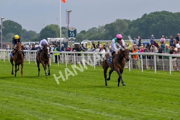 160524-Race 3-Bluestocking-5625 - Race 3 3.15pm  Al Basti Equiworld Dubai Middleton Fillies' Stakes