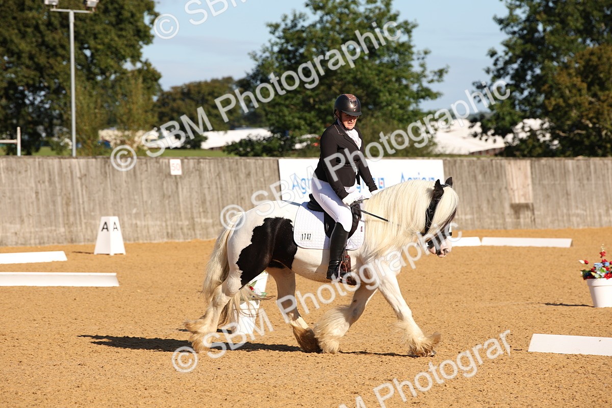 SBM_01866 - D2 Small Tour Championship Intro C