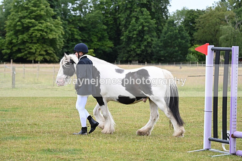 WJ6_8766 - Class 10 Coloured in-hand