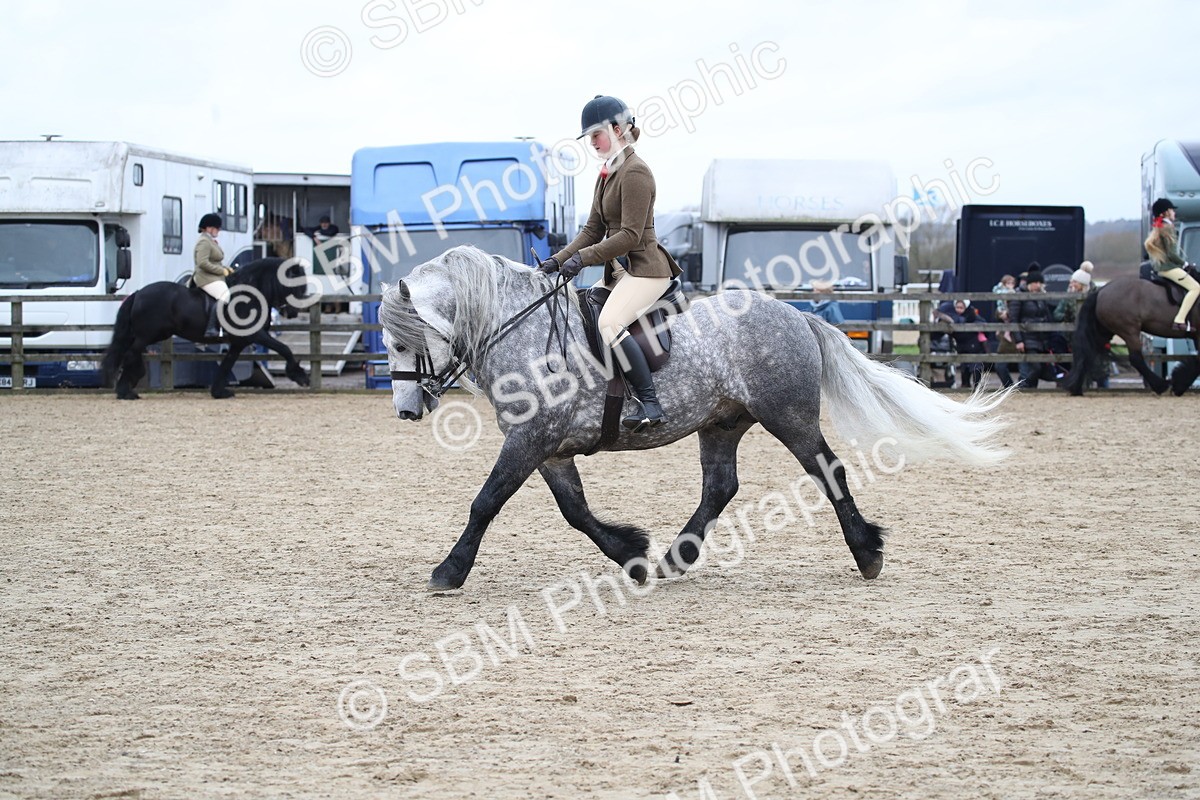 SBM_006366 - Class 10-13 - RIHS Small Large Breeds