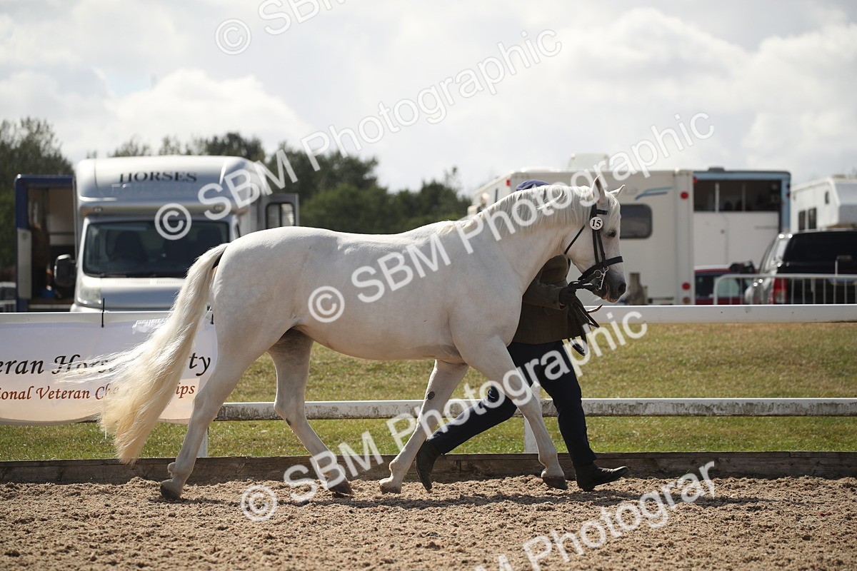 SBM_23095 - Class 606 - 2026 - Area - IH Pre Vet