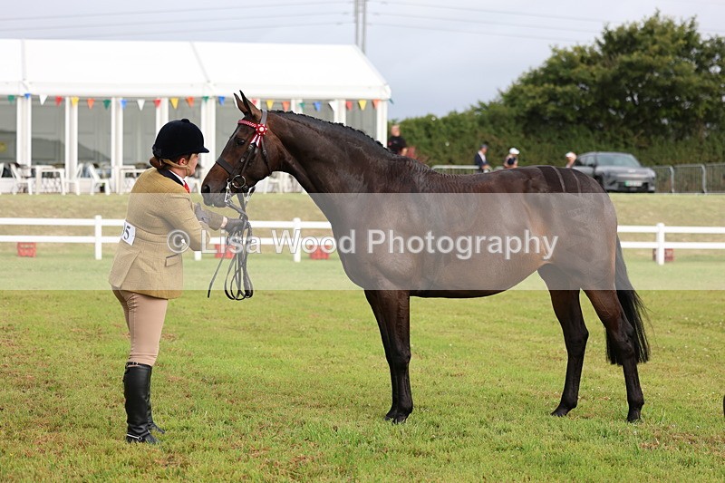 3E7A7911 - Class 1: Rising Star Small Hack/Riding Horses