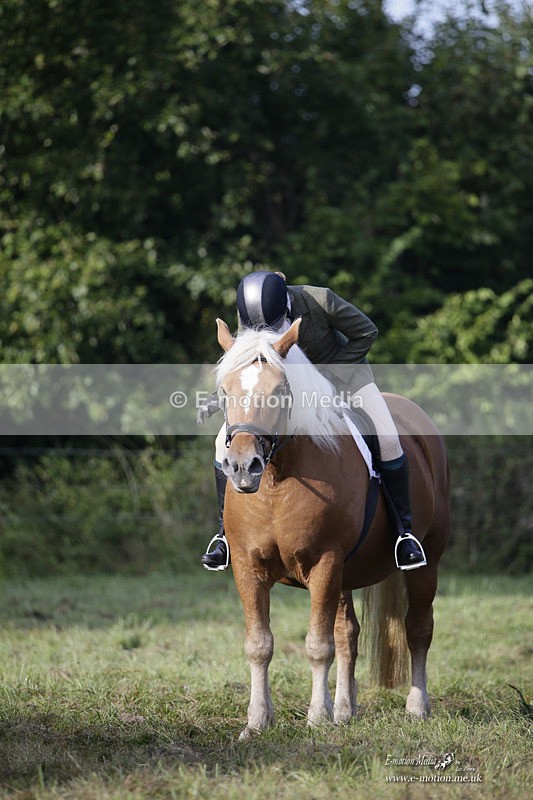 BVRC 120921 18 - Bourne Valley Riding Club UA Dressage & Show Jumping 12/09/21