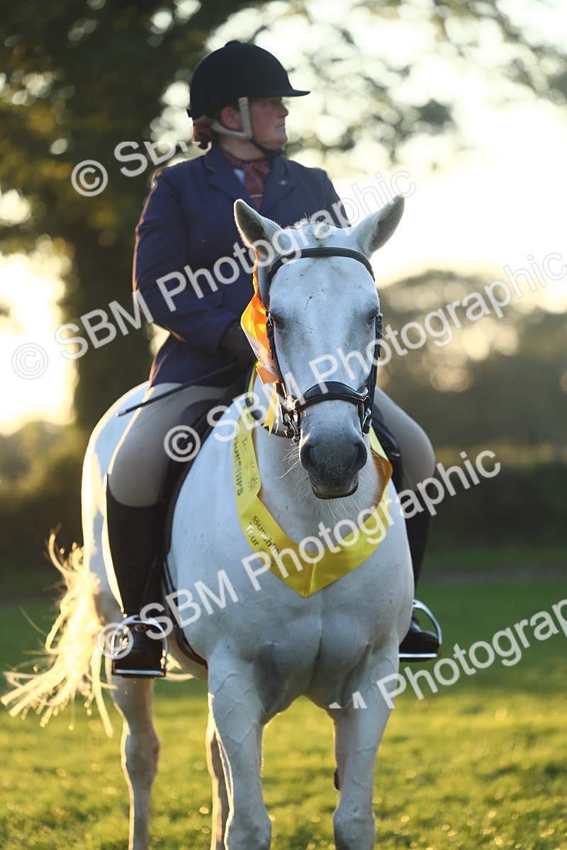 SBM_56666 - Fun & Versatile Supreme Championship