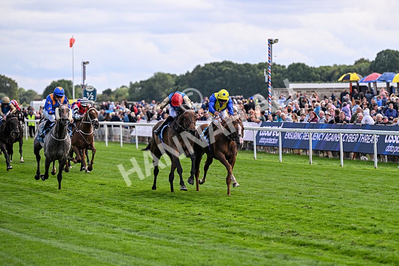 210826-Race 5-Plage De Havre-6746 - Race 5 16.10pm Assured Data Protection Handicap