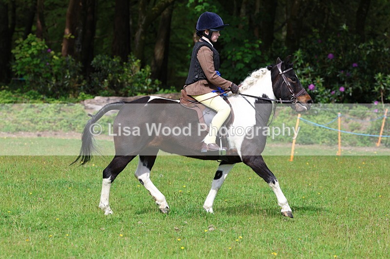 3E7A2627 - Working Hunter Championship