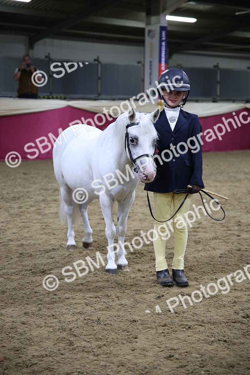 SBM_18772 - Class D IH Pony Champ