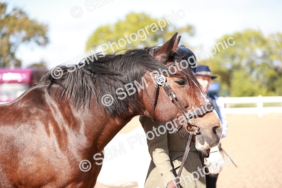 SBM_22909 - Class 706 - IH Veteran