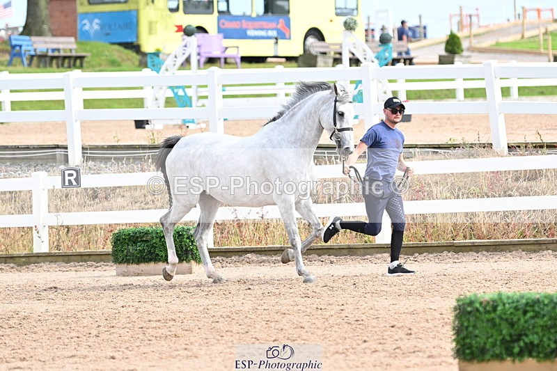 240717A-165742-03566 - Trot Up 4pm to 5pm