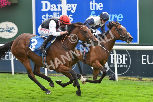 yr19082021r6-23 - Race 6 4.45pm British EBF & Sir Henry Cecil Galtres Stakes