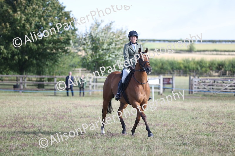 20250831-0817 - Class 14 - Ex Racehorse