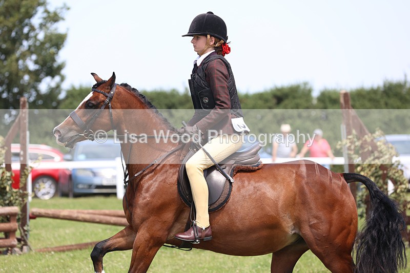 JPP_2641 - Class 21: Working Hunter 60cm
