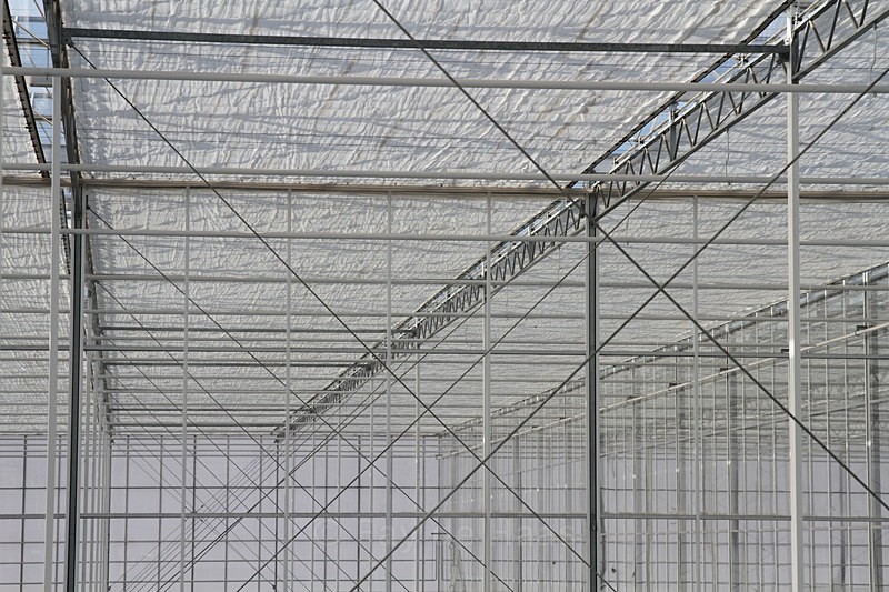 IMG_4553 - Manmade lines