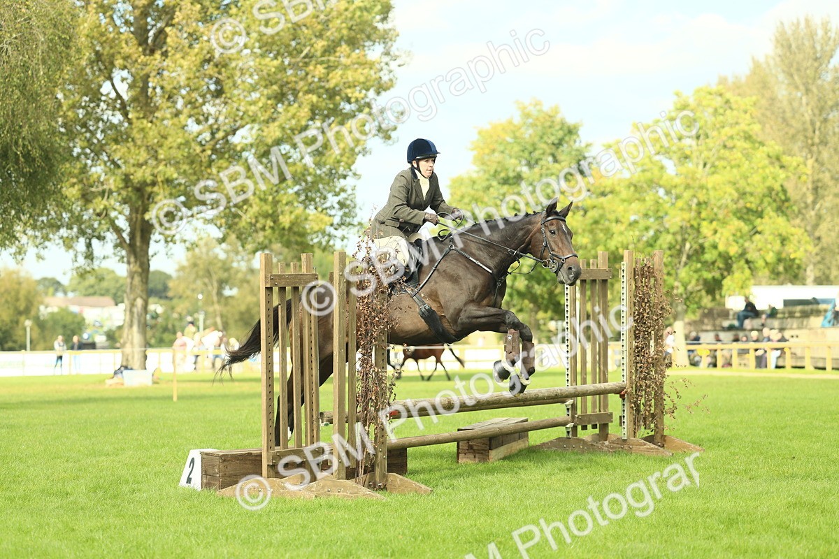 SBM_48013 - S32 - Novice & Newcomers Working Hunter