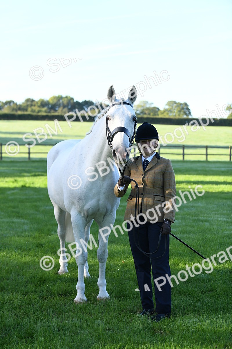 SBM_32817 - S15 - Condition & Turnout In Hand