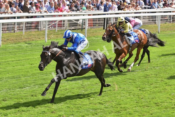 yr20082022r1-38 - Race 1 1.50pm Sky Bet & Symphony Group Strensall Stakes