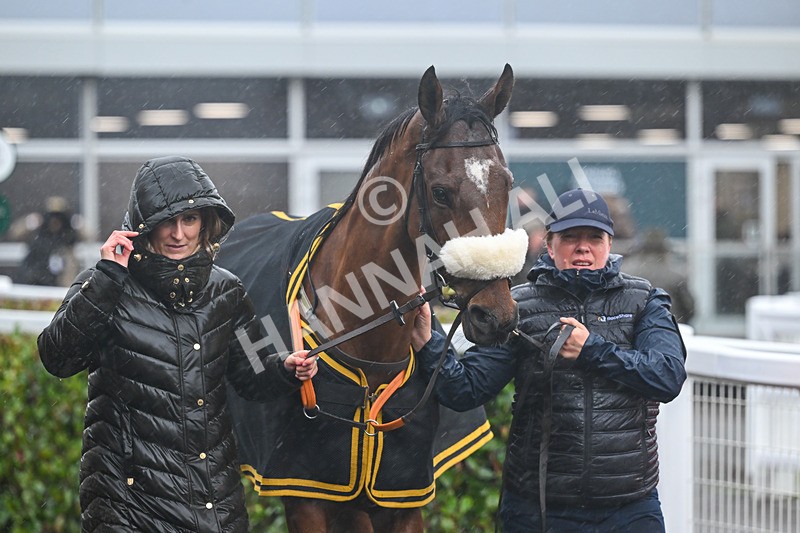 141125-Race 1-Lucky Manifest-8824 - Race 1