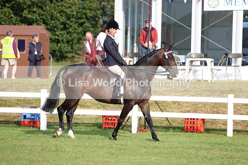 3E7A7635 - Class 1: Rising Star Small Hack/Riding Horses