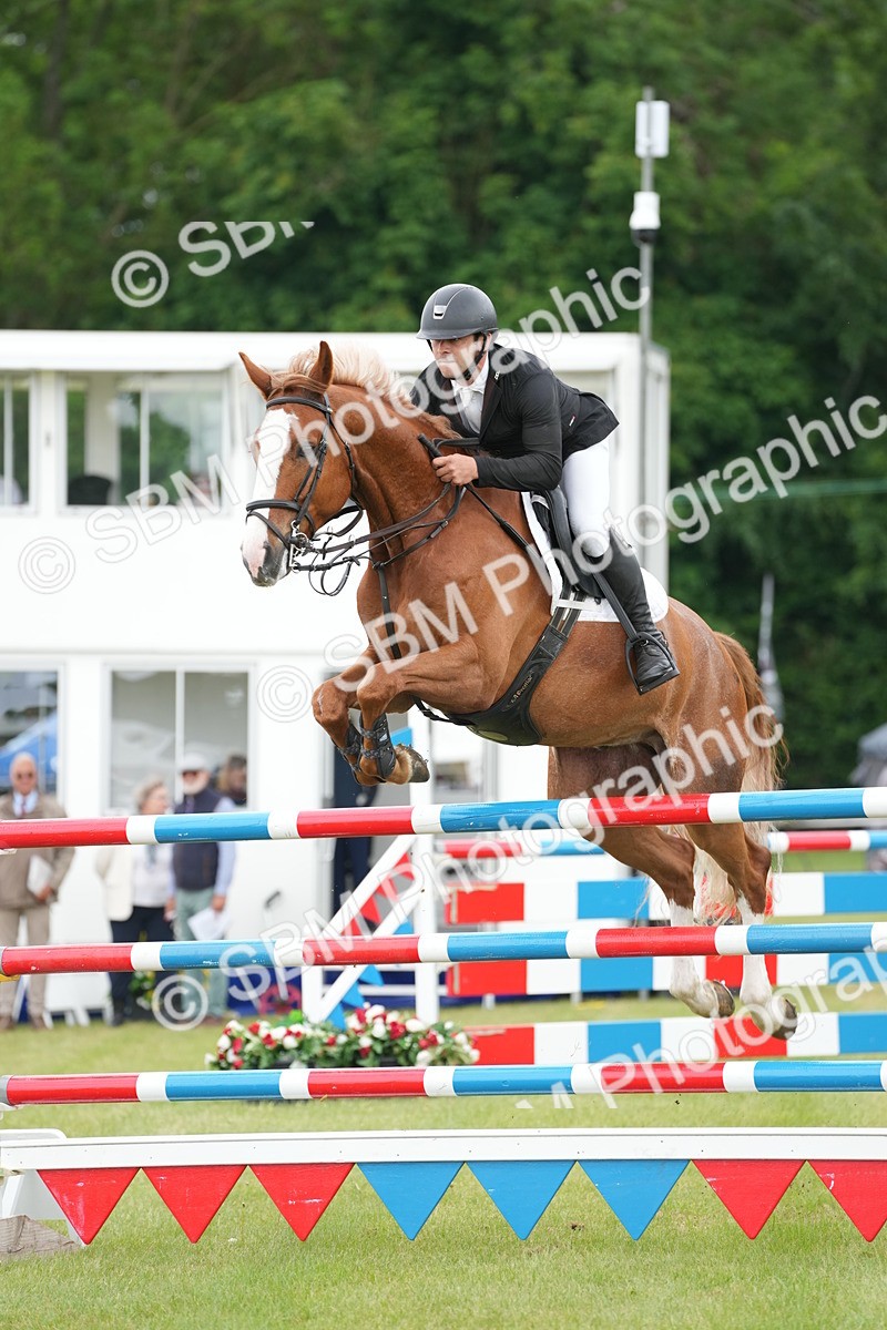 SBM_05300 - Class 201 - British Horse Feeds Speedi Beet Horse of the Year Show Grade  C