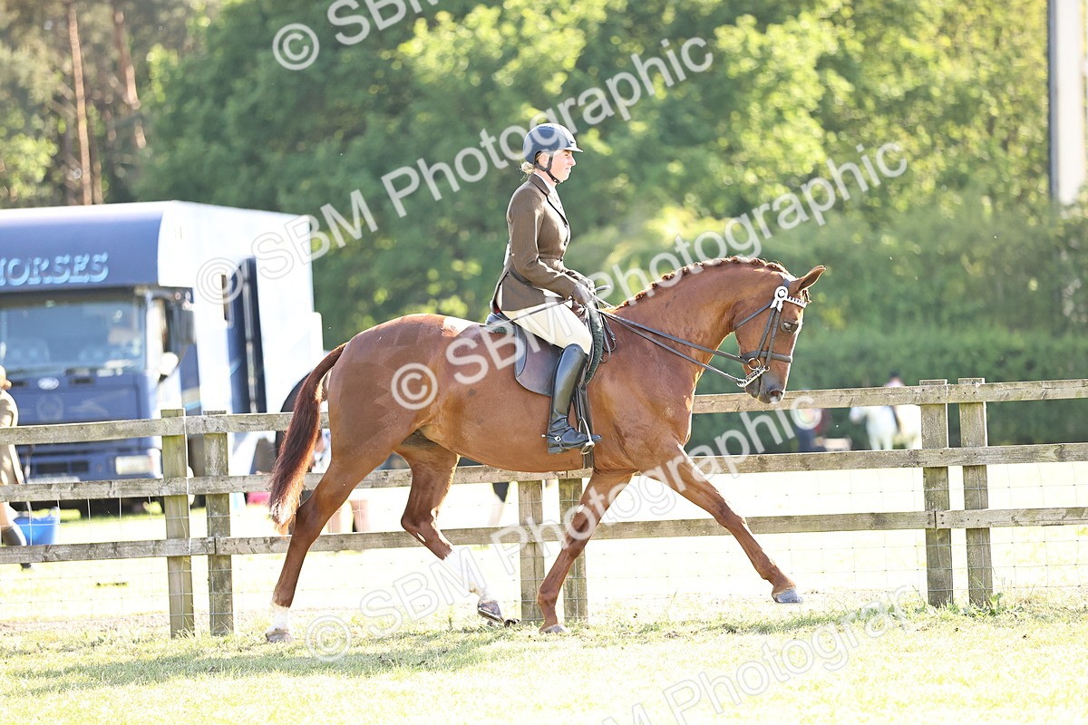SBM_19718 - Class 87-88 - RIHS BSHA Riding Horses