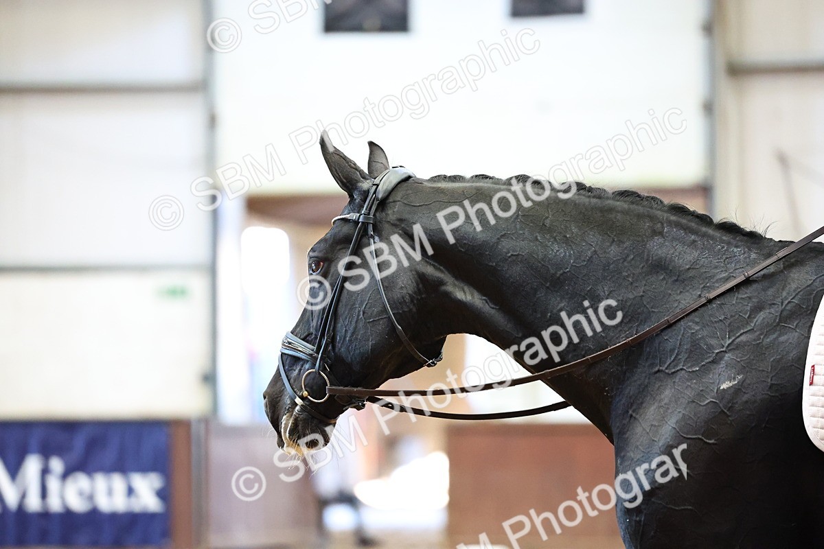 SBM_004929 - Class 31 - FEI GP INT II