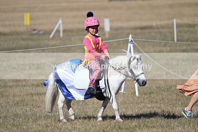 WJ7_2836 - Class 45 Fancy Dress (My Fav)