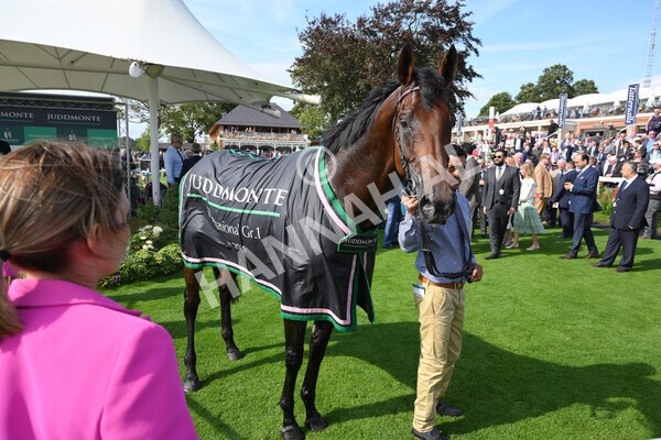 yr18082021r4-165 - Race 4 3.35pm Juddmonte International Stakes (British Champion Series race)