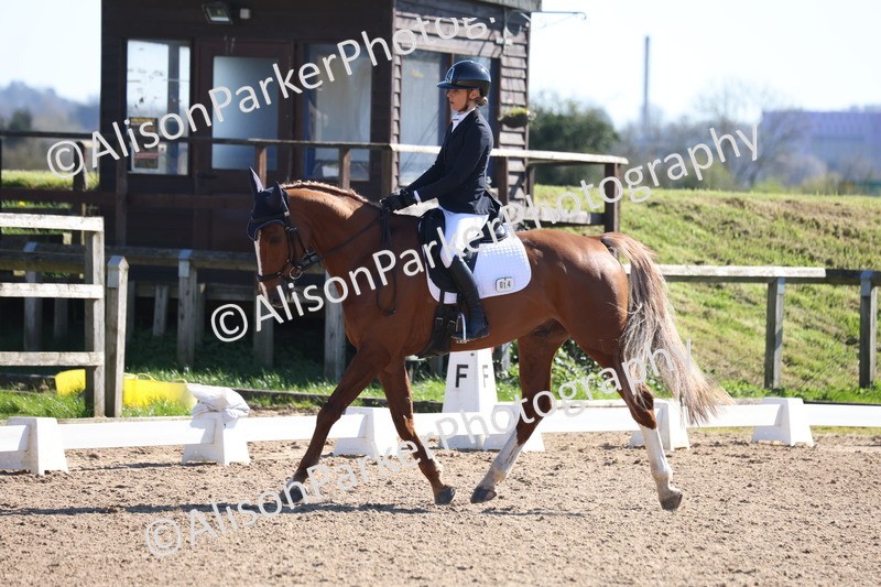 20260318-0520 - Class 5 - Novice 2