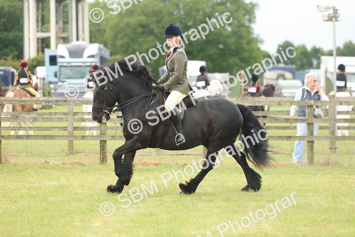 SBM_08974 - Class 78-80 - Ridden M&M Non Welsh Ponies