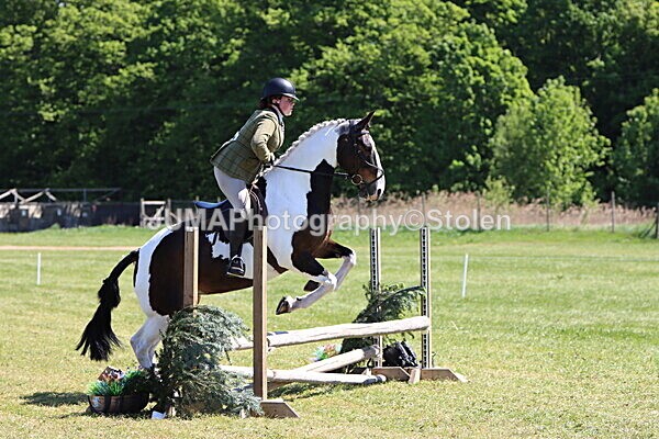 IMG_4081 - Working Hunter