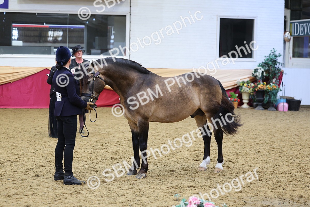 SBM_22752 - Class 903 - Supreme Final - IH Pre Vet