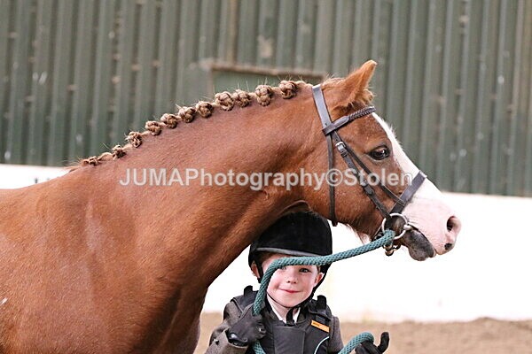 SIAL0591 - Small Arena - Saturday