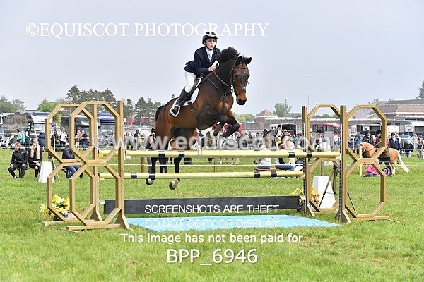 BPP_6946 - CLASS 3 RHS Fox Champ Qual (1.20m)