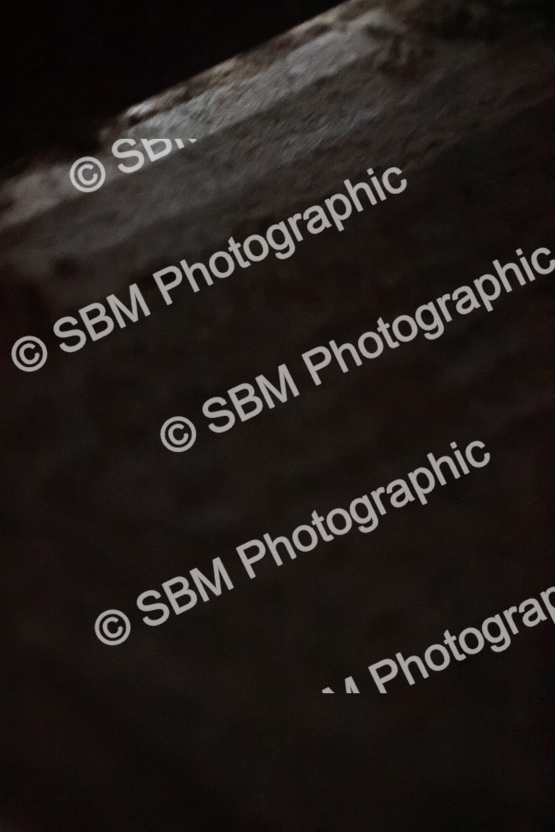 SBM_005432 - Class 18 - FEI PSG