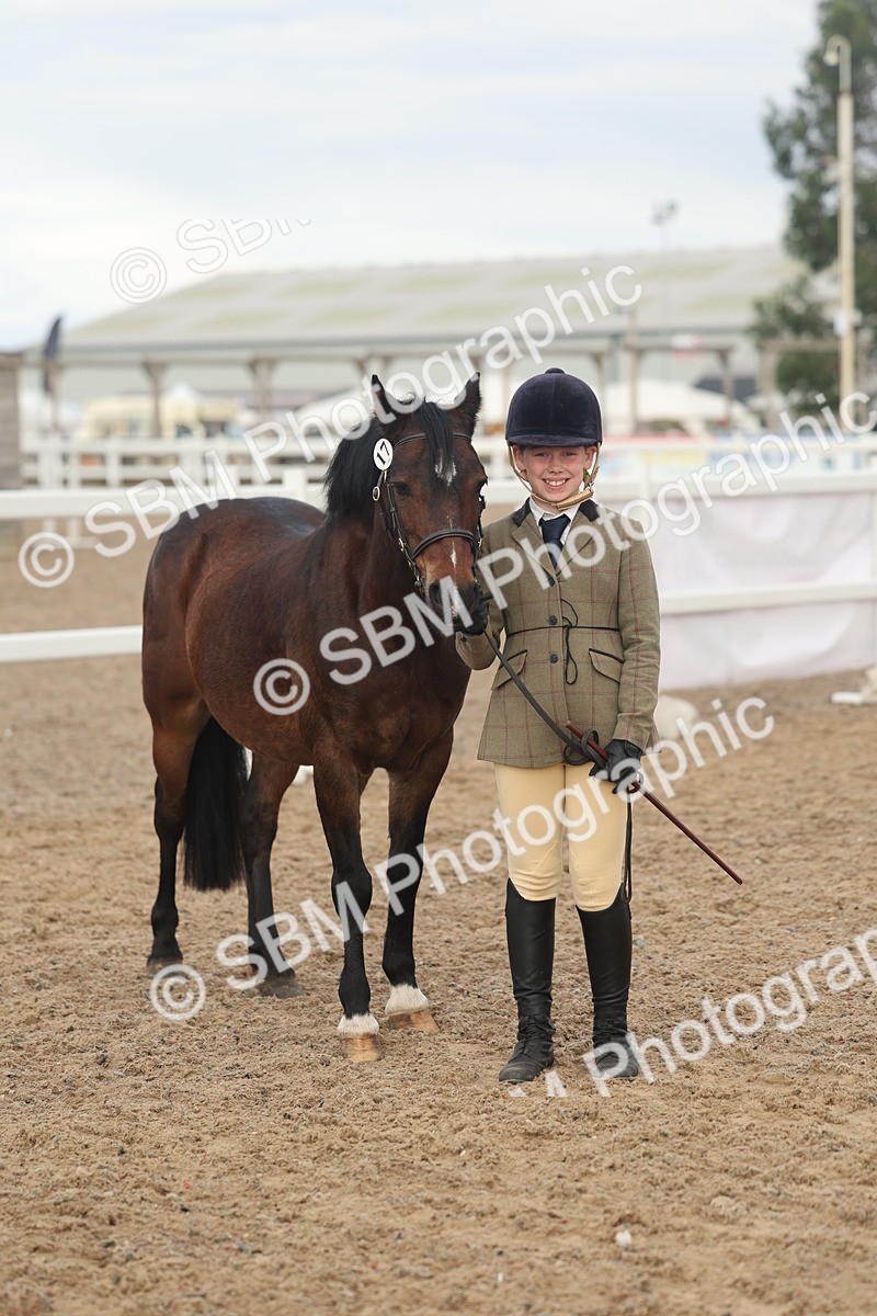 SBM_08553 - Class 29 - IH Veteran Pony