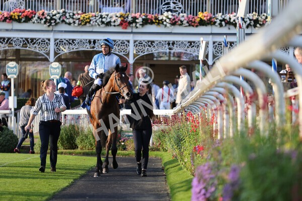 yr08102021r6-23 - Race 6 4.55pm Frank Whittle Partnership British EBF Restricted Novice Stakes