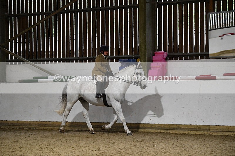 WJ5_8766 - Class 15 Ridden Show Horse