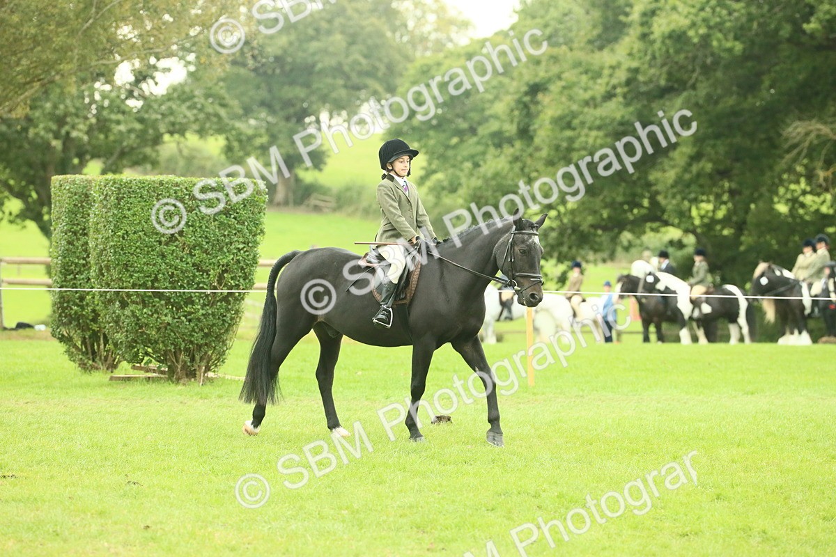 SBM_73908 - S 61 - Show Pony & Show Hunter Pony Ridden