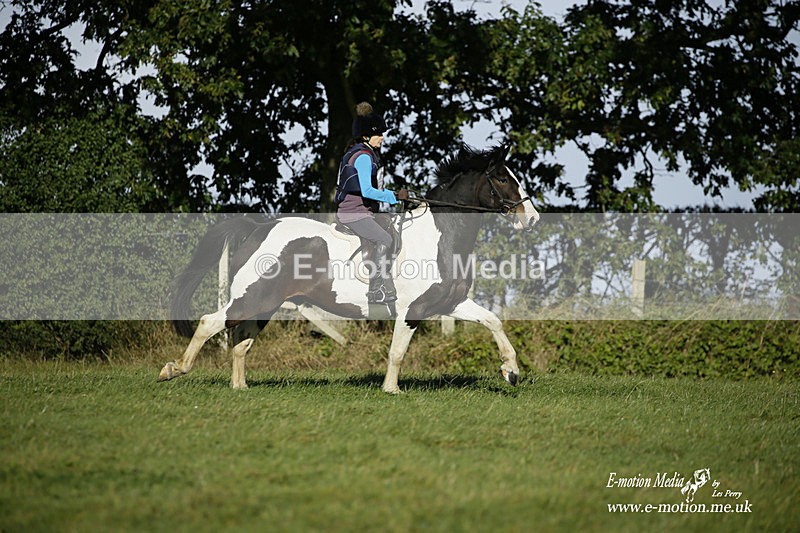  WWHT 031021 435 - WWEC Novice Restricted (0.80m) 18/10/20