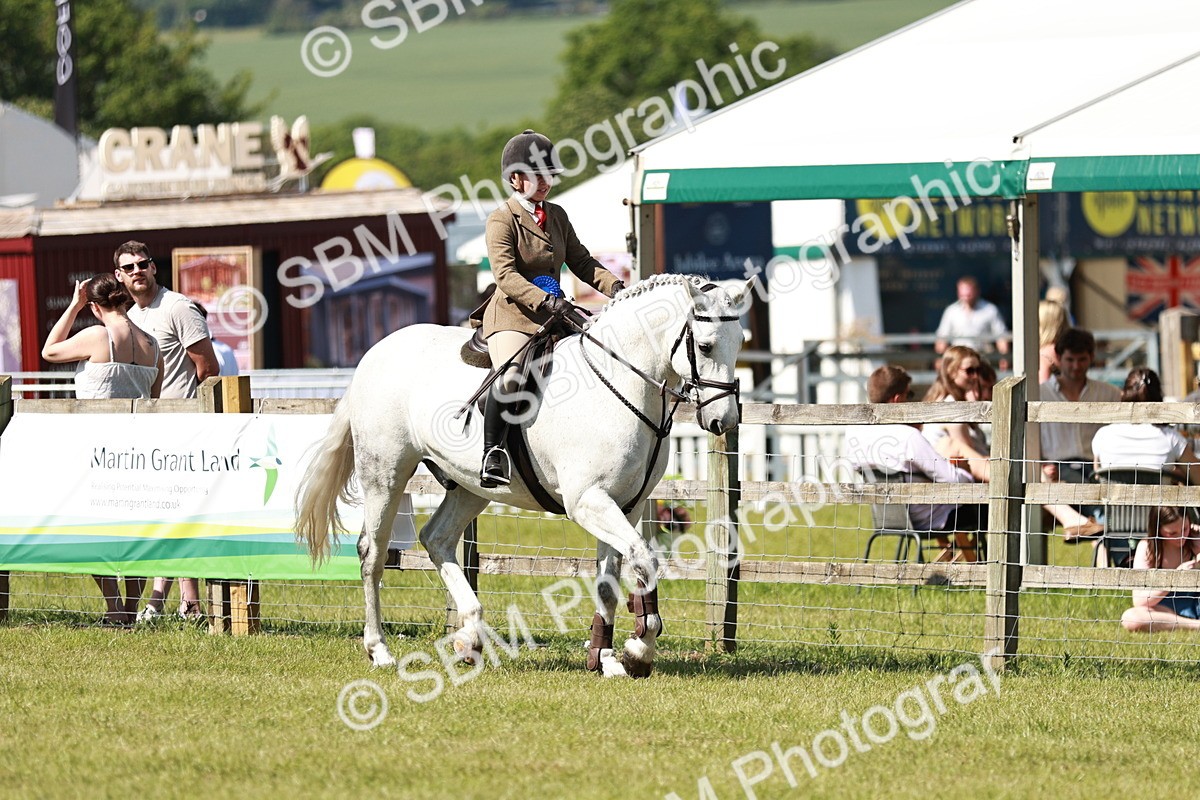 SBM_18512 - Class 112-113 - BSPS LIHS Working Sports Pony