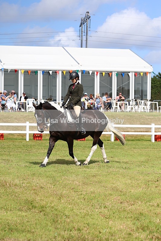 3E7A9835 - Class 5: Rising Star Lightweight/Heavyweight Cobs