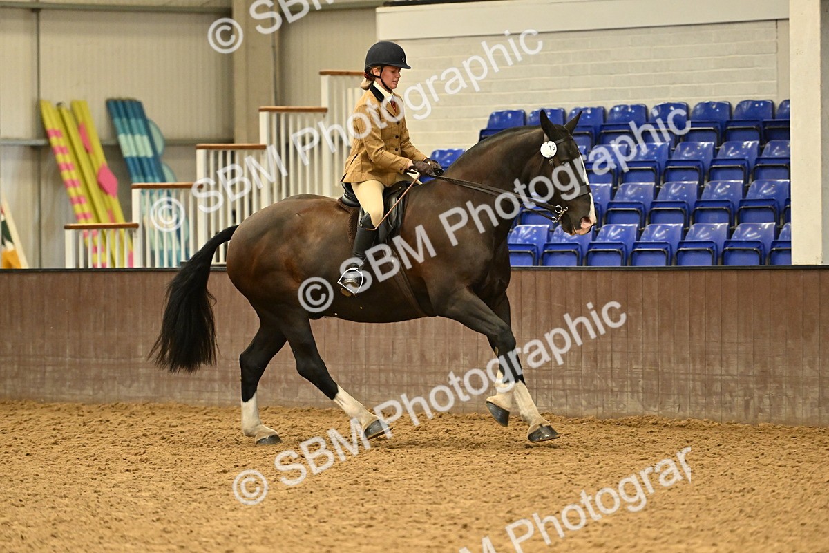 SBM_002044 - Class 21 - BSHA Ridden Show Cob