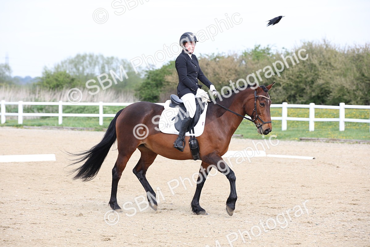 SBM_006435 - Class 1-3 - Intro 1 Lead Rein-Intro 4