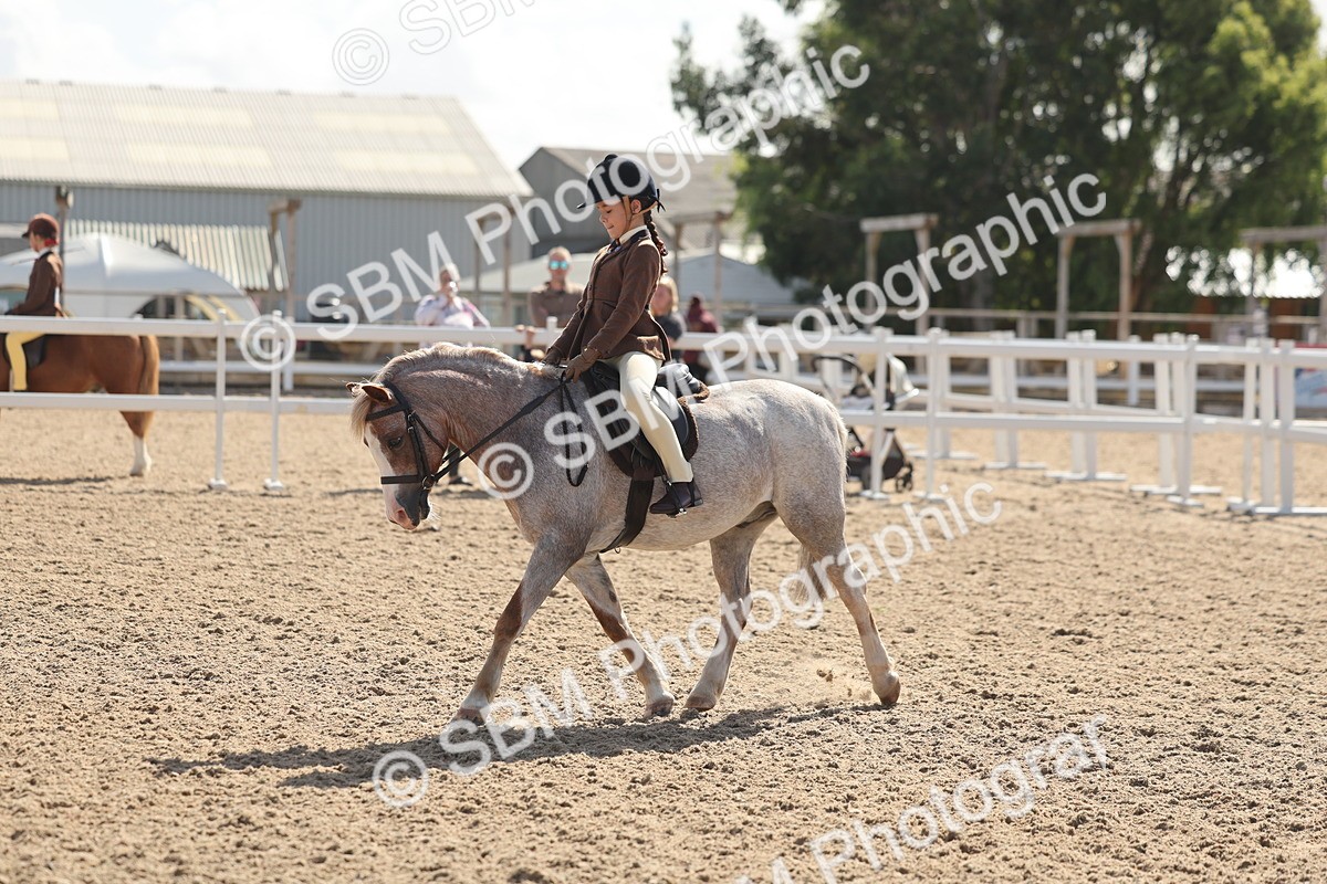 SBM_23119 - Class 806 - Young Rider 10ry and Under