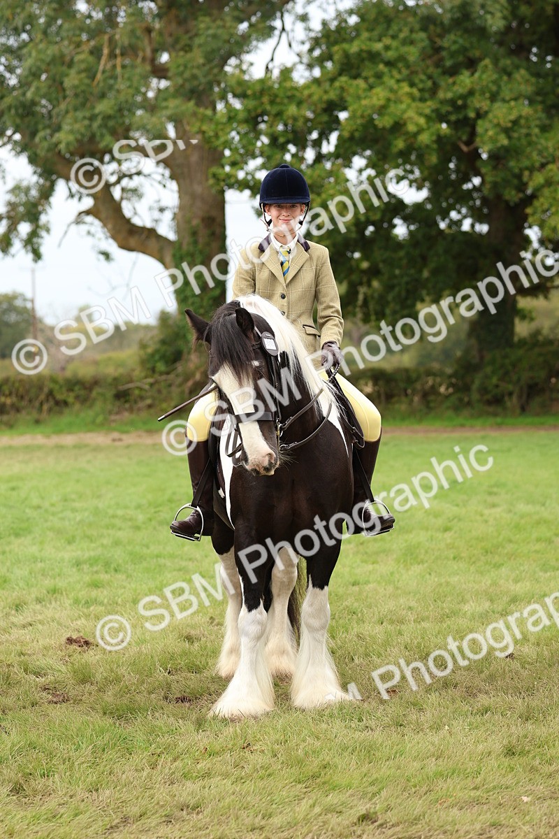 SBM_64453 - S58 - Coloured Pony Ridden