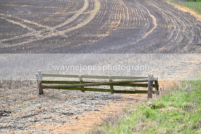 WJ6_8544 - Meet & Line One