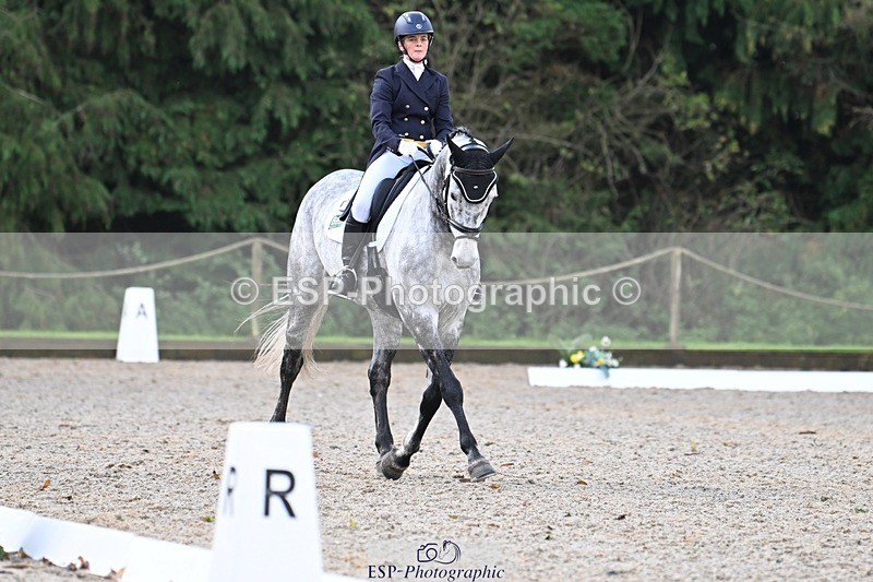 231019-094856-01224 - 028-BOLEYBAWN.COOLEY.LADY-Claire.Fielding-DR