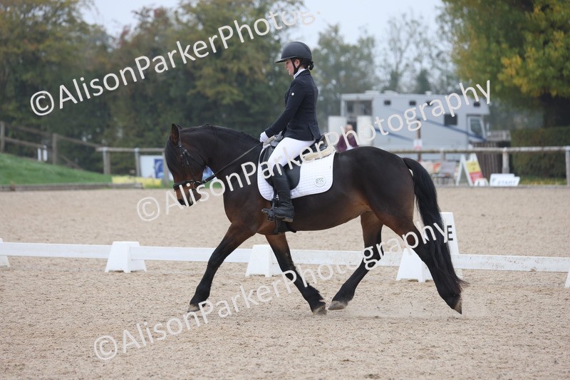 20251012-0521 - Class 4 - Novice 6