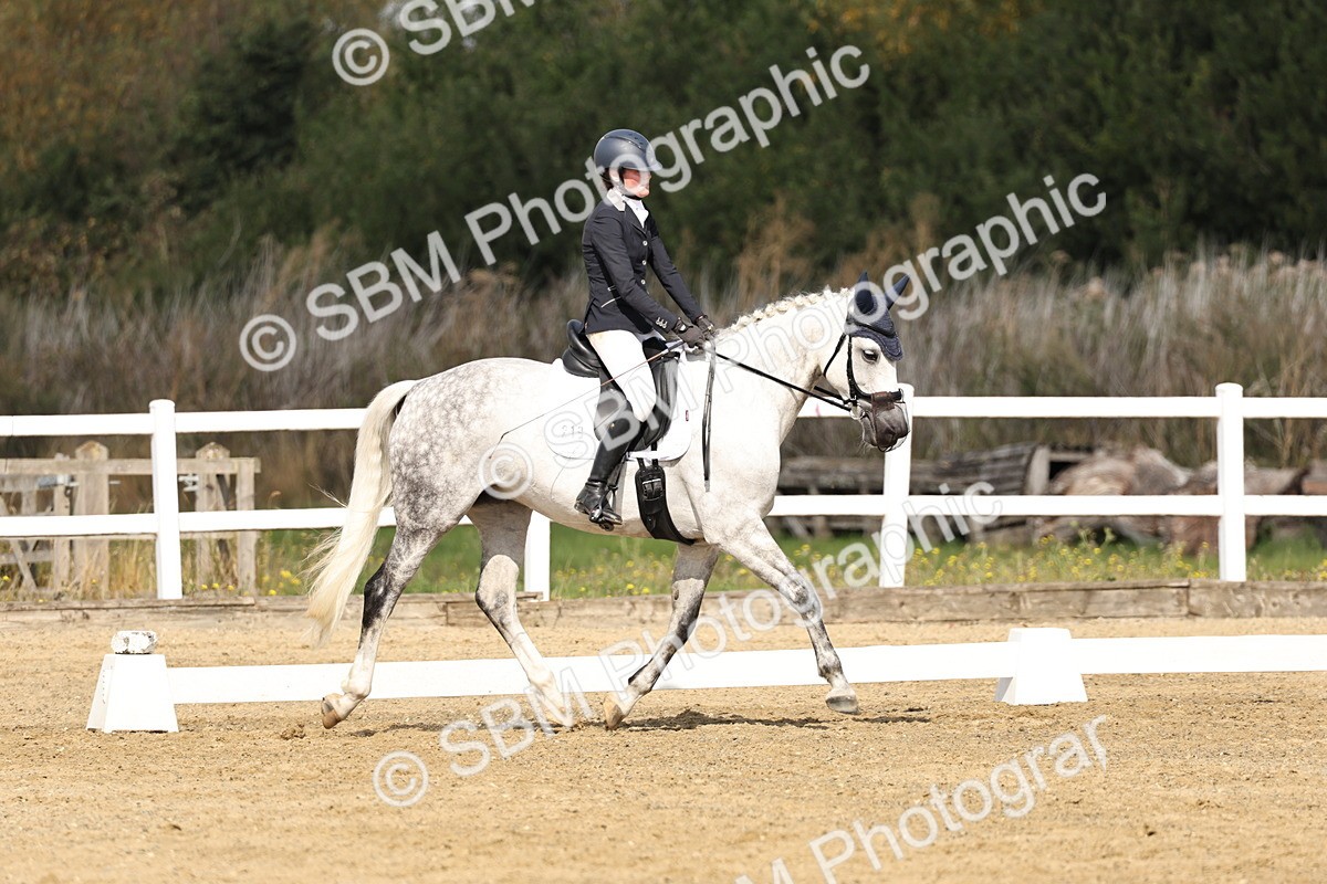 SBM_017503 - Class 12-14 - Intro 2-Prelim 5