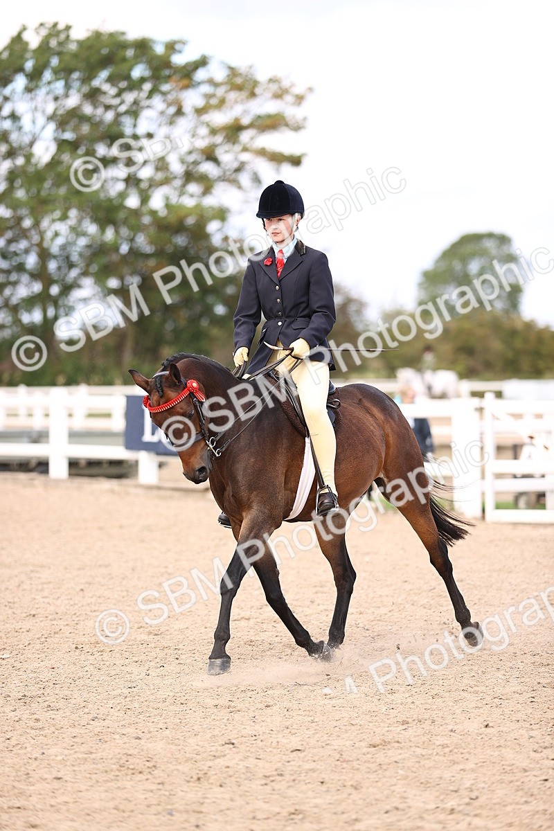 SBM_12840 - Class 409 - Grassroots Ridden - Pony